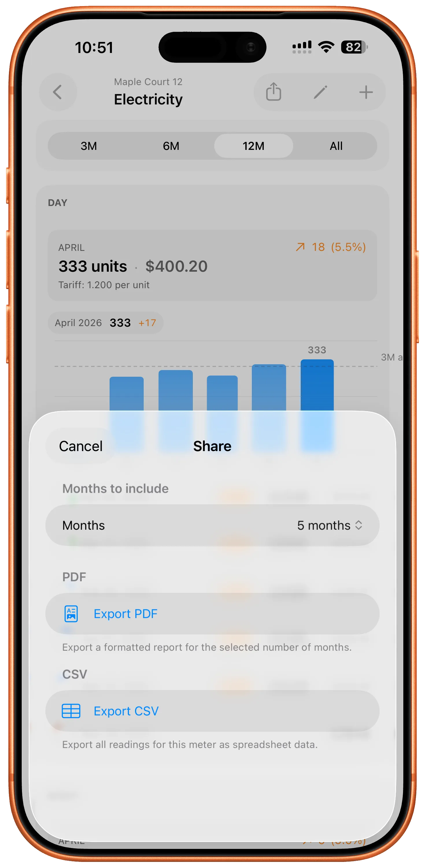 MetersMate iPhone export sheet with PDF and CSV options